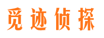 崇川出轨调查